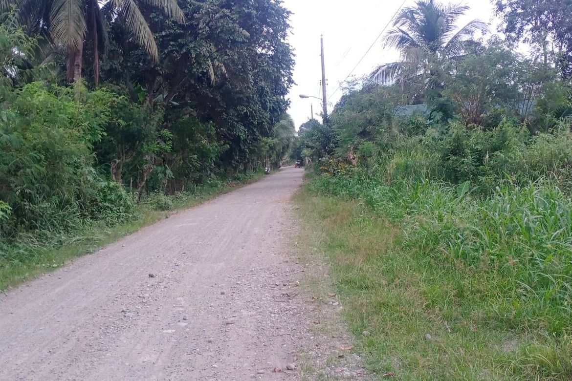 Land for Sale in Bunawan, Davao City, Davao del Sur – photo 2