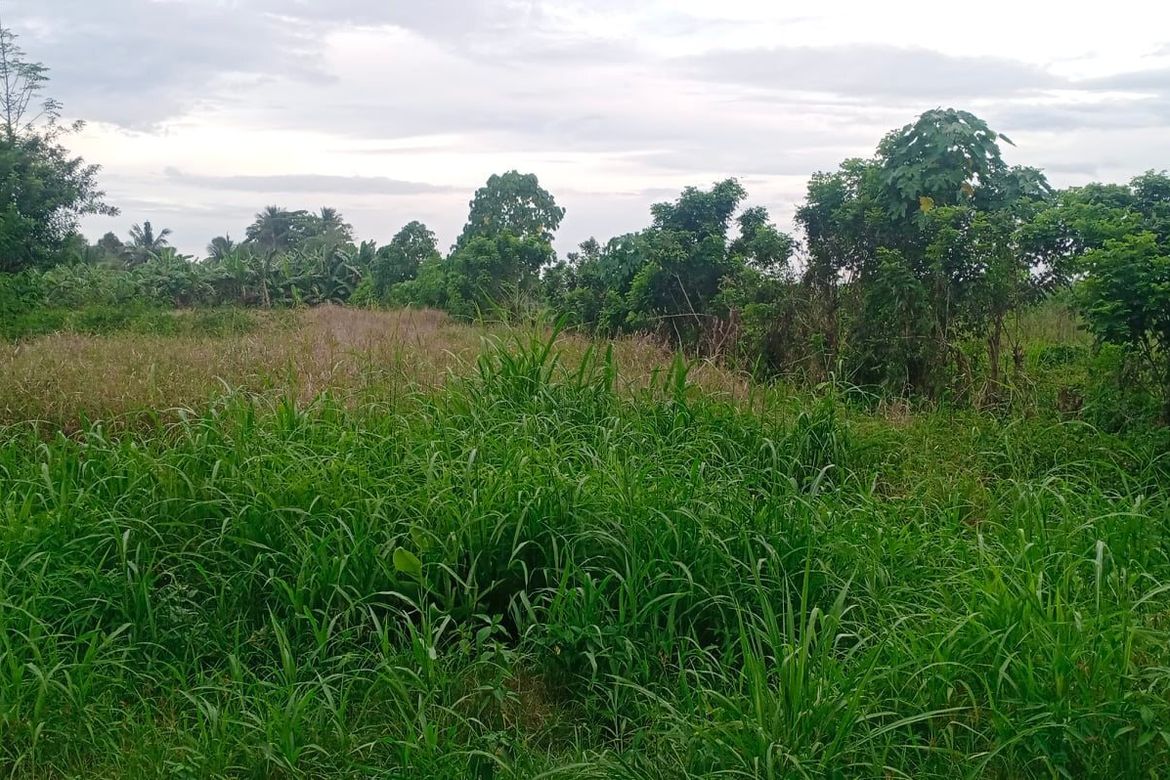 Land for Sale in Bunawan, Davao City, Davao del Sur – photo 3