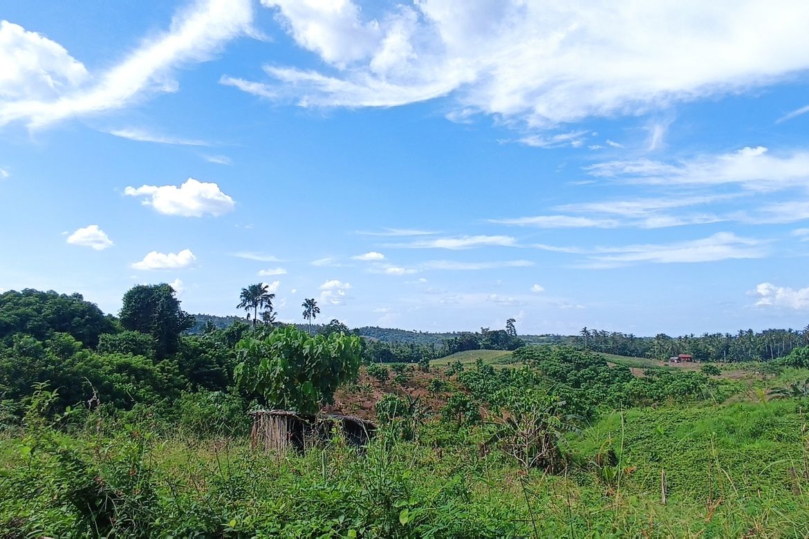 Land for Sale in Bunawan, Davao City, Davao del Sur – photo 2