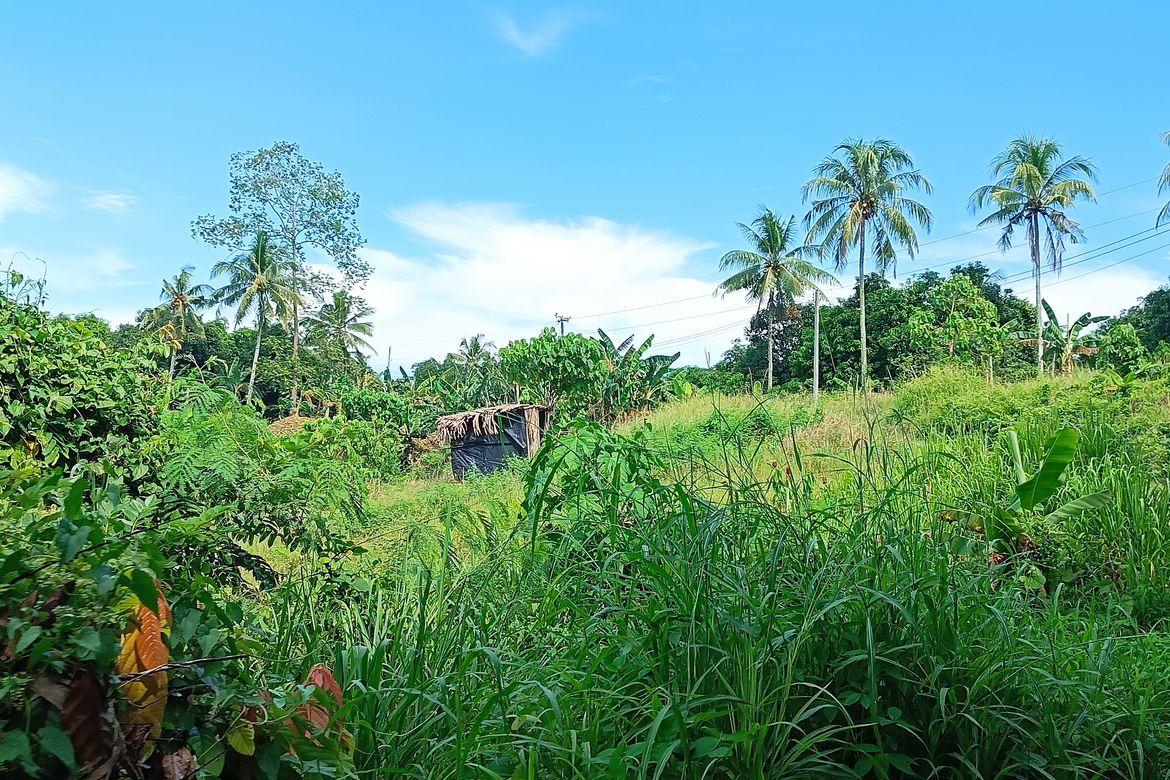 Land for Sale in Bunawan, Davao City, Davao del Sur – photo 5