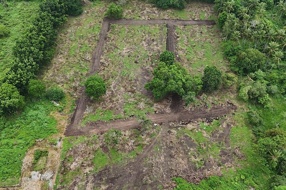 Land for Sale in Bunga, Dauin, Negros Oriental – photo 5