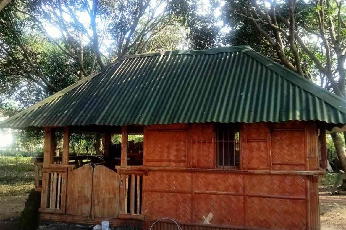 Land for Sale in Bungahan, Cuenca, Batangas – photo 6