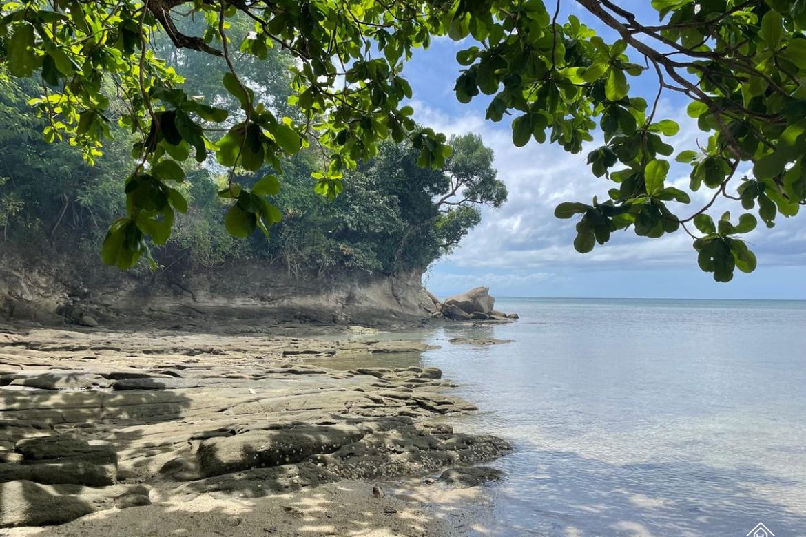 Land for Sale in Burgos, Padre Burgos, Quezon