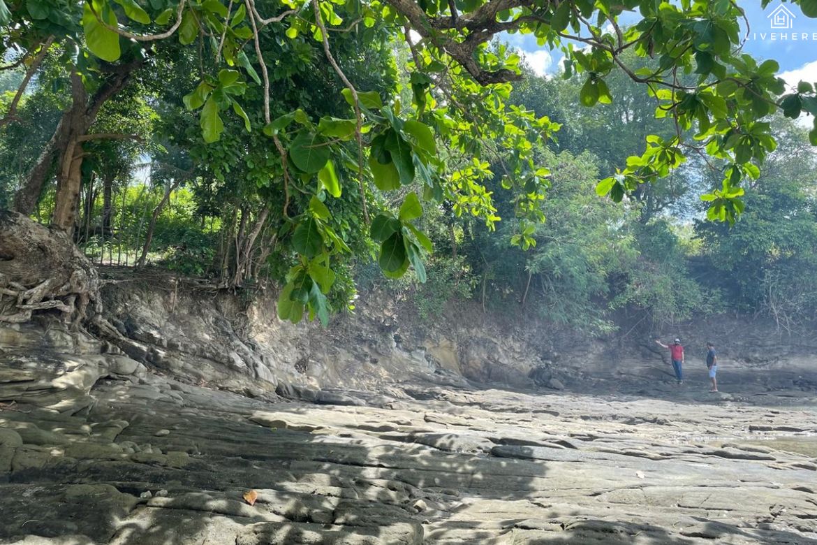 Land for Sale in Burgos, Padre Burgos, Quezon – photo 2