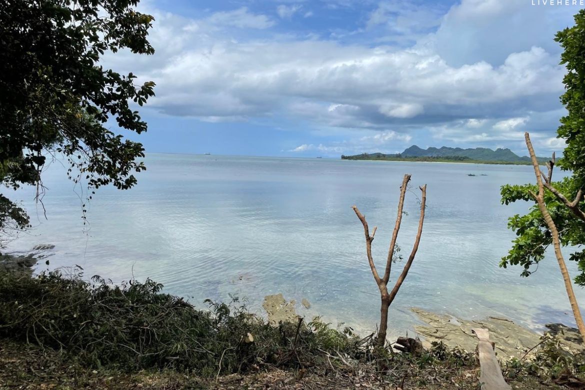 Land for Sale in Burgos, Padre Burgos, Quezon – photo 4