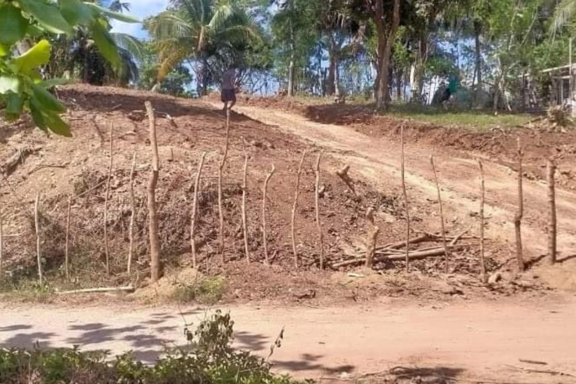 Land for Sale in Burgos, Padre Burgos, Quezon – photo 5
