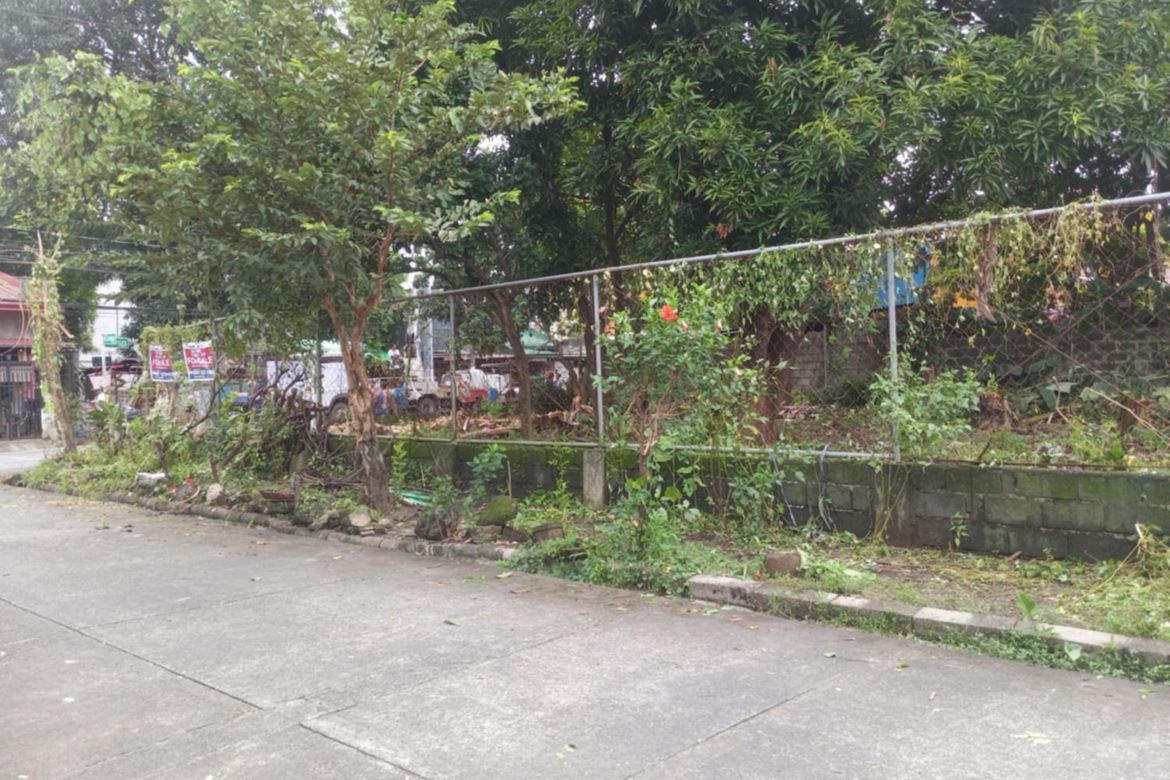 Land for Sale in Burgos, Rodriguez, Rizal – photo 4