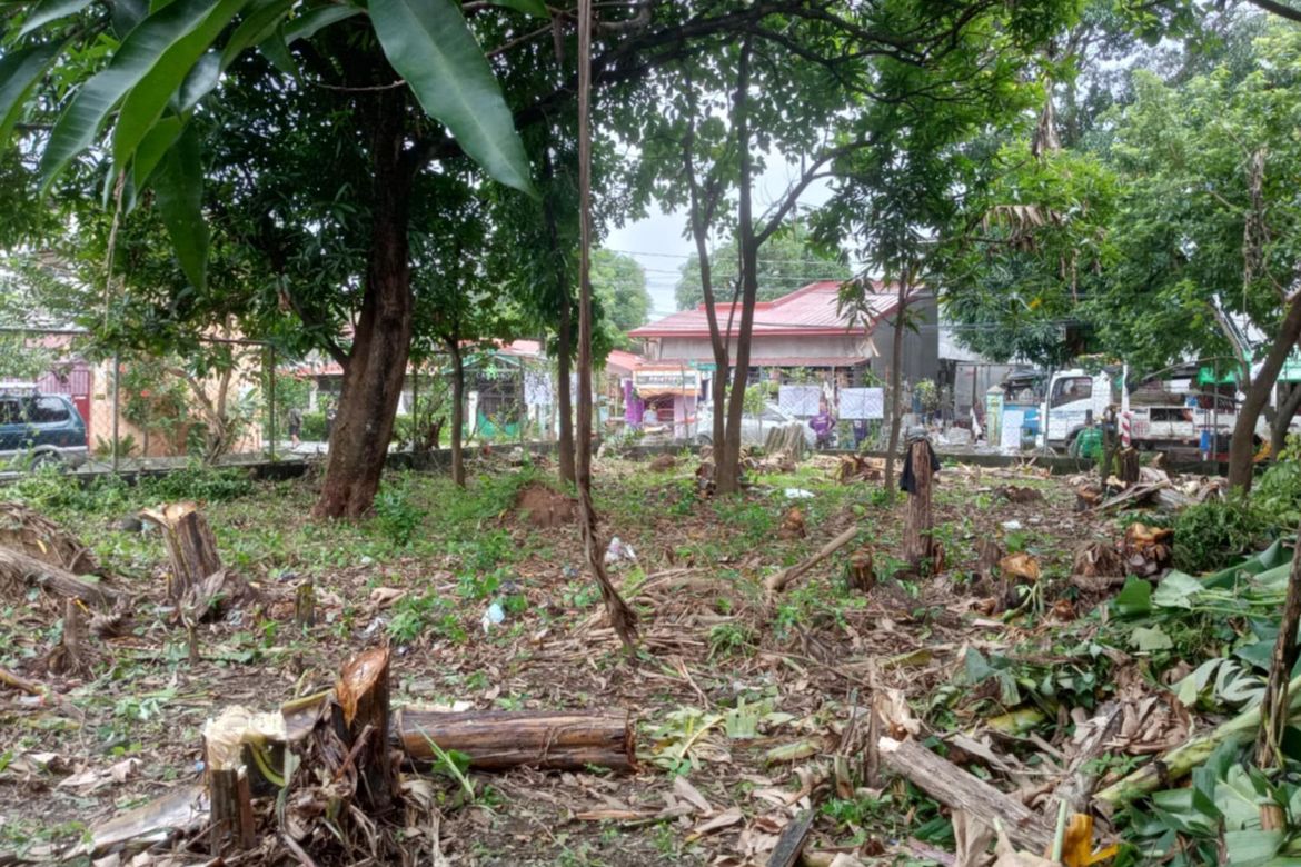 Land for Sale in Burgos, Rodriguez, Rizal – photo 5