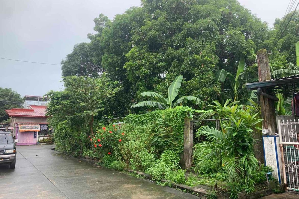 Land for Sale in Burgos, Rodriguez, Rizal – photo 7