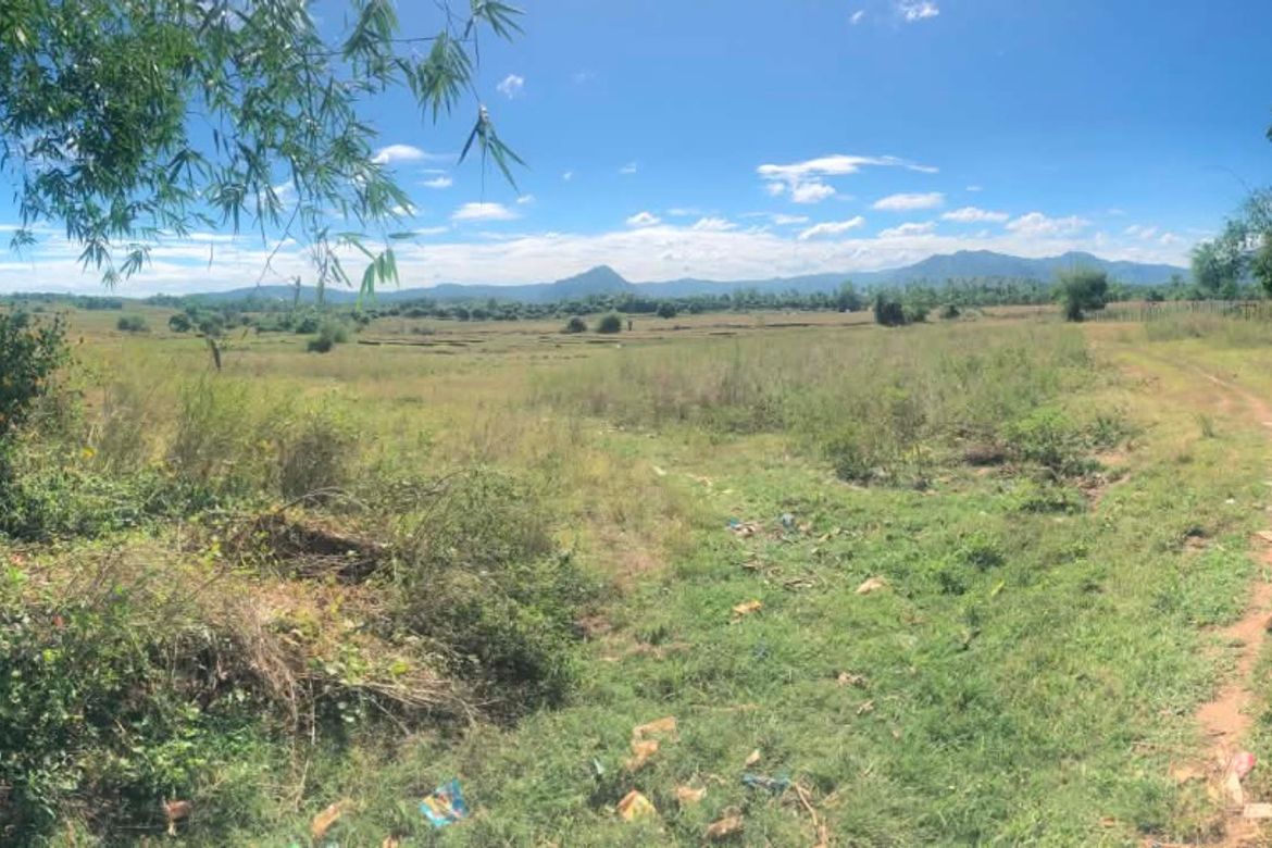 Land for Sale in Burgos, San Jose, Tarlac – photo 2
