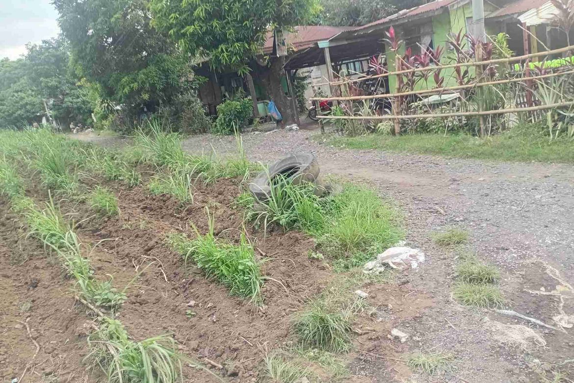 Land for Sale in Burgos, Tuy, Batangas – photo 2