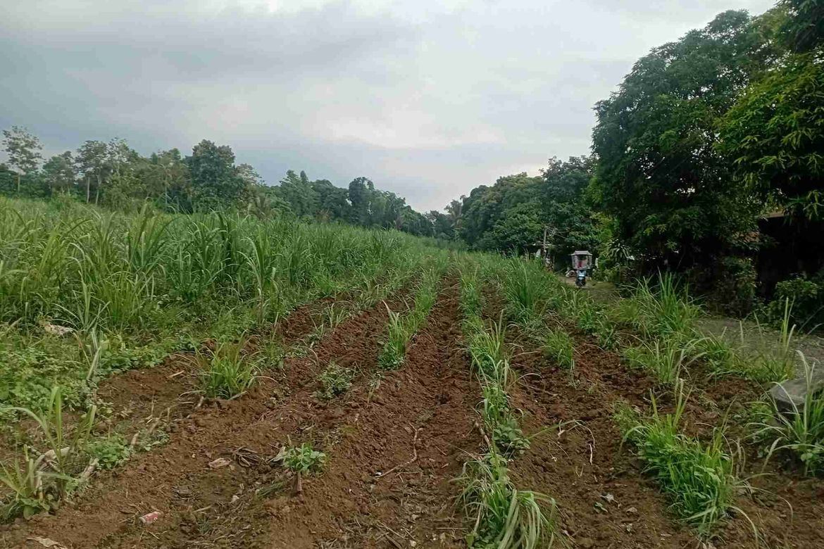 Land for Sale in Burgos, Tuy, Batangas – photo 4