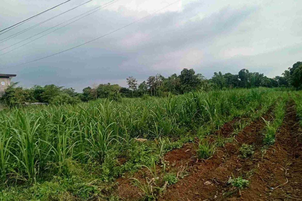 Land for Sale in Burgos, Tuy, Batangas – photo 5