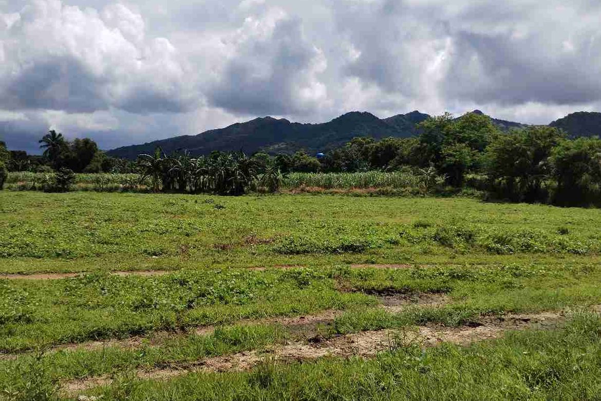 Land for Sale in Burgos, Tuy, Batangas – photo 3