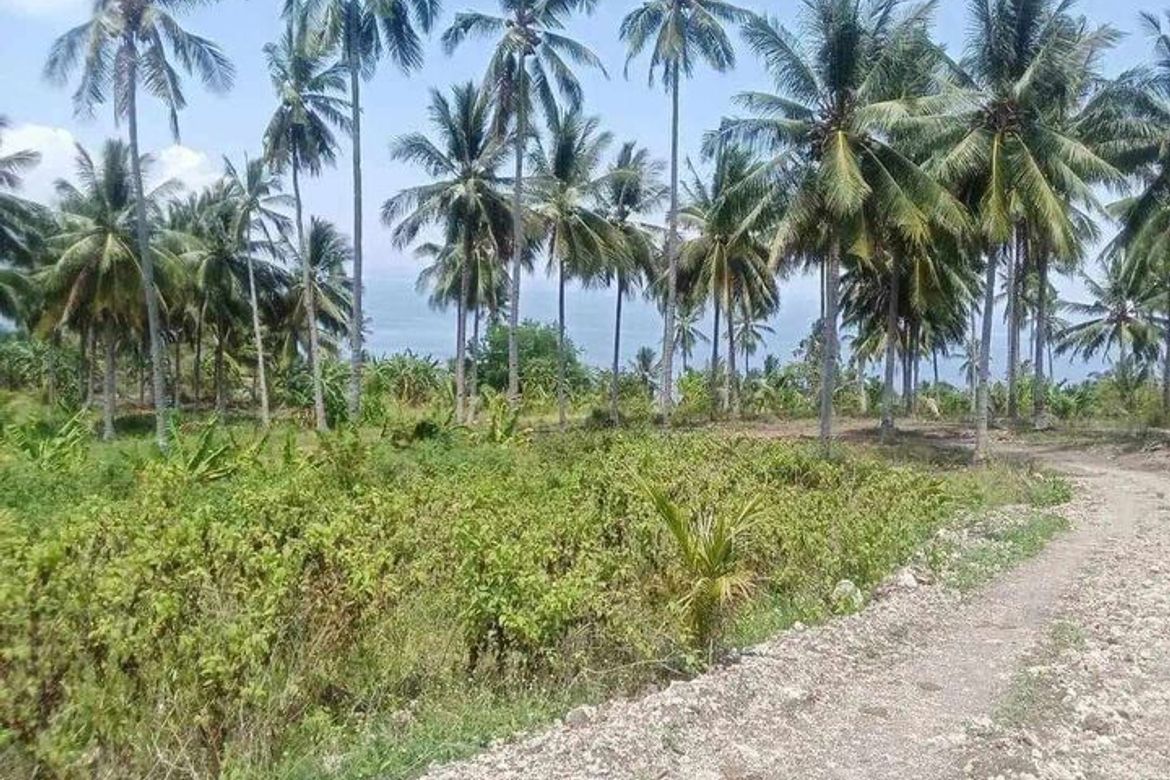 Land for Sale in Burias, Glan, Sarangani – photo 5
