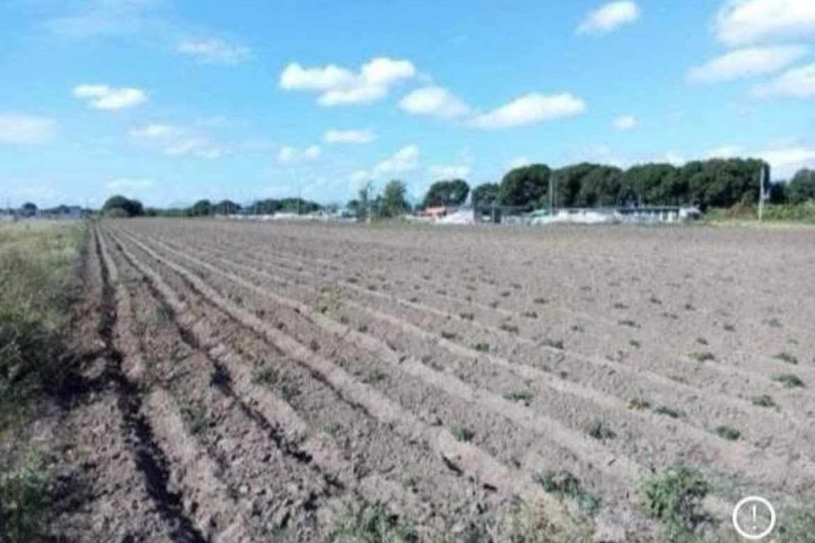 Land for Sale in Burot, Tarlac, Tarlac