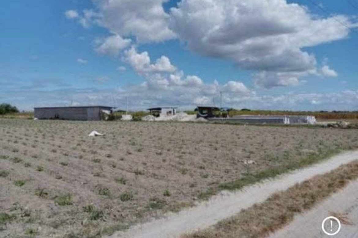 Land for Sale in Burot, Tarlac, Tarlac – photo 3