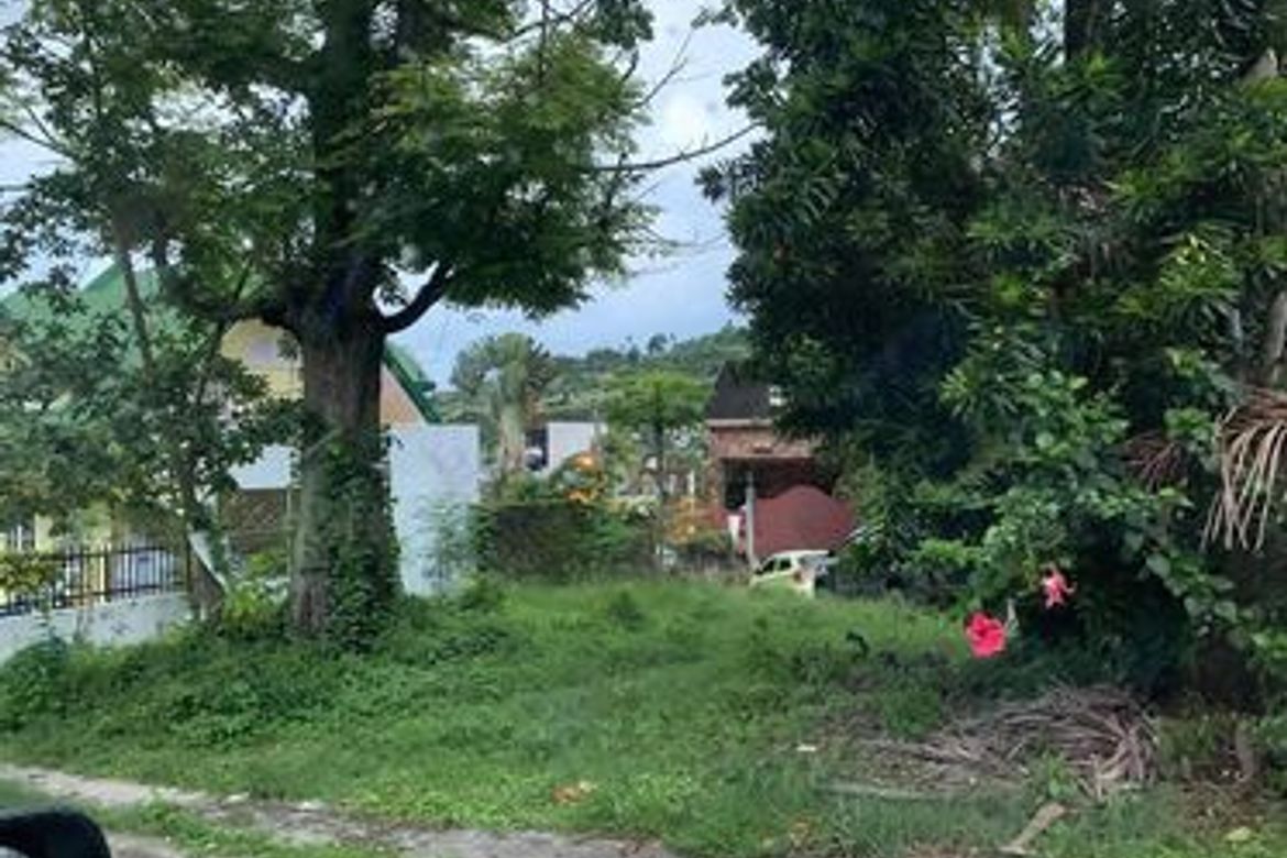 Land for Sale in Busay, Cebu City, Cebu – photo 3