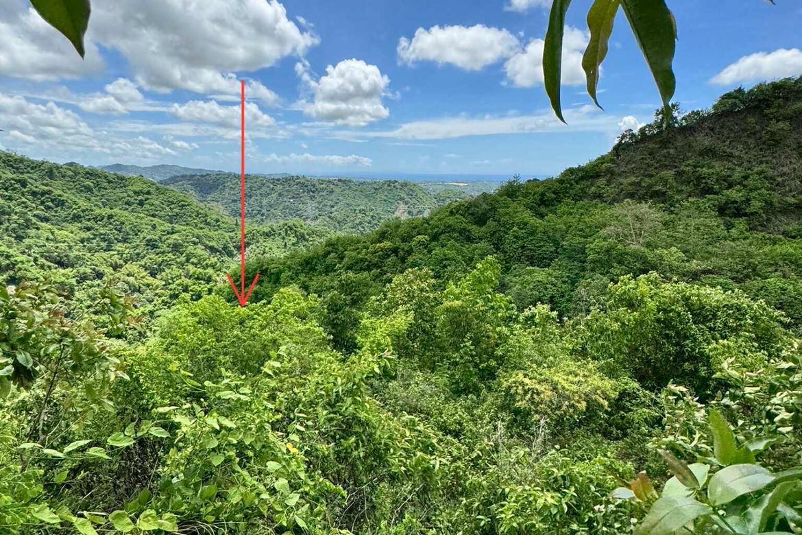 Land for Sale in Busay, Cebu City, Cebu – photo 3