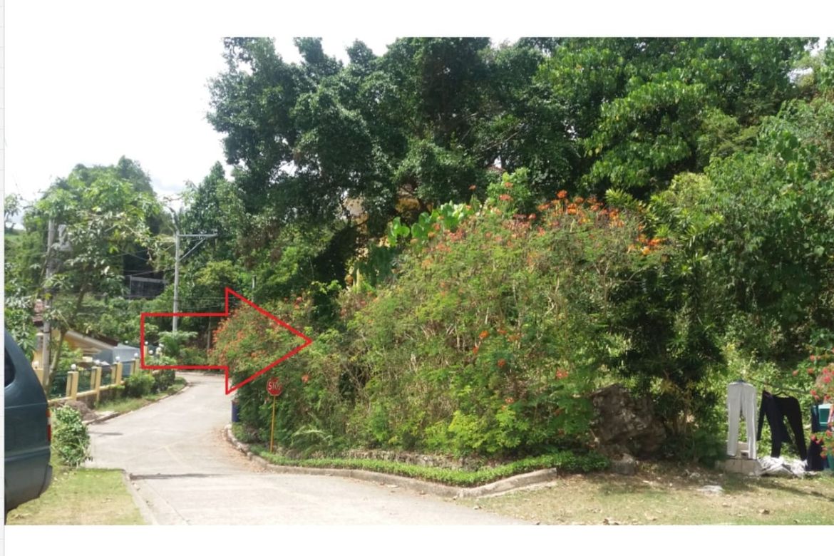 Land for Sale in Busay, Cebu City, Cebu – photo 5