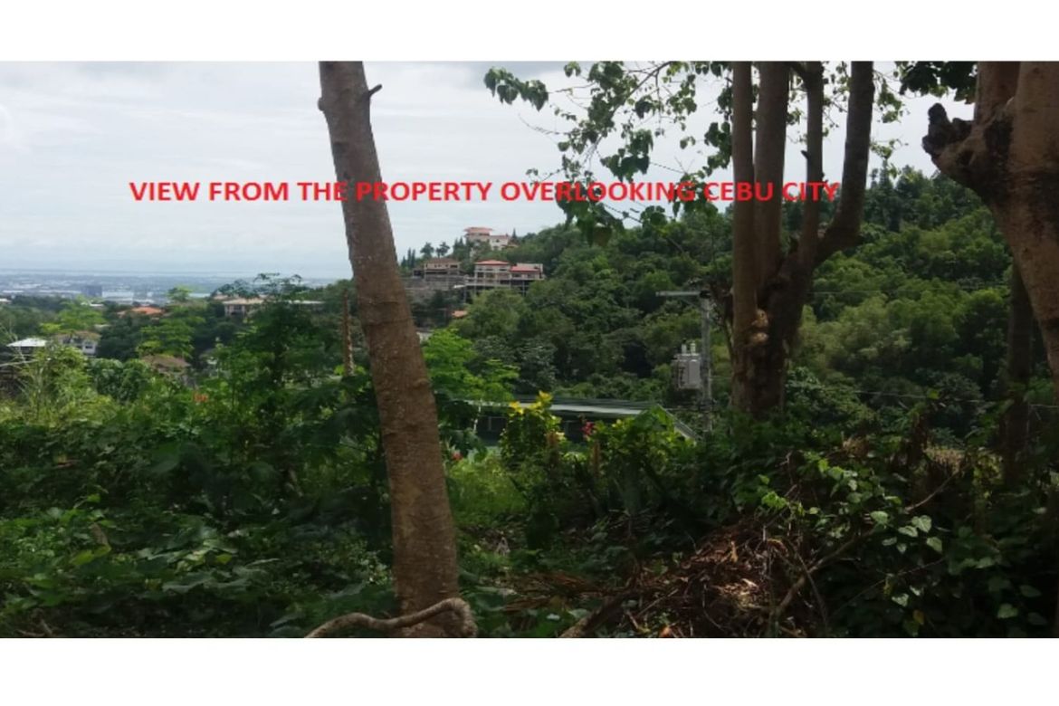 Land for Sale in Busay, Cebu City, Cebu – photo 6