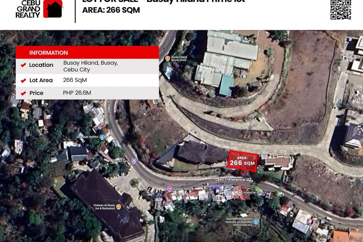 Land for Sale in Busay, Cebu City, Cebu – photo 8