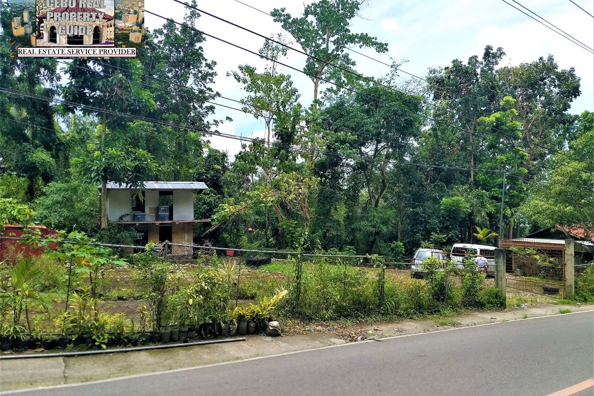 Land for Sale in Busay, Cebu City, Cebu – photo 2