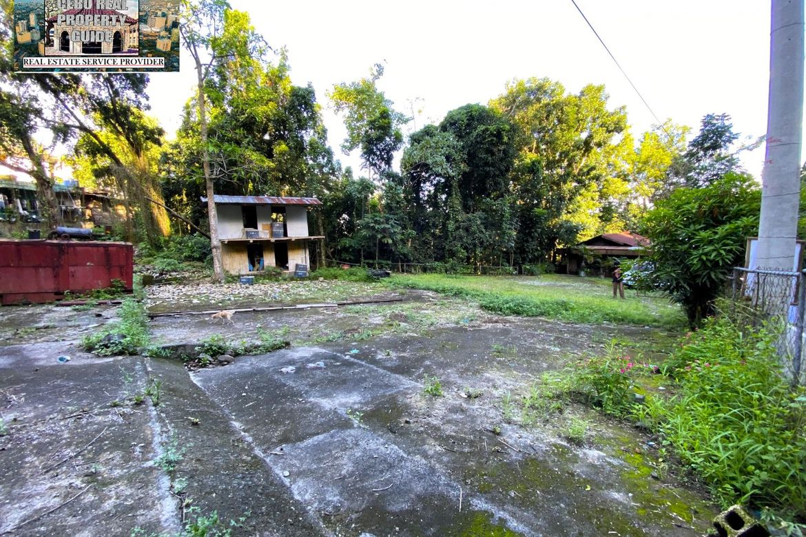 Land for Sale in Busay, Cebu City, Cebu – photo 3