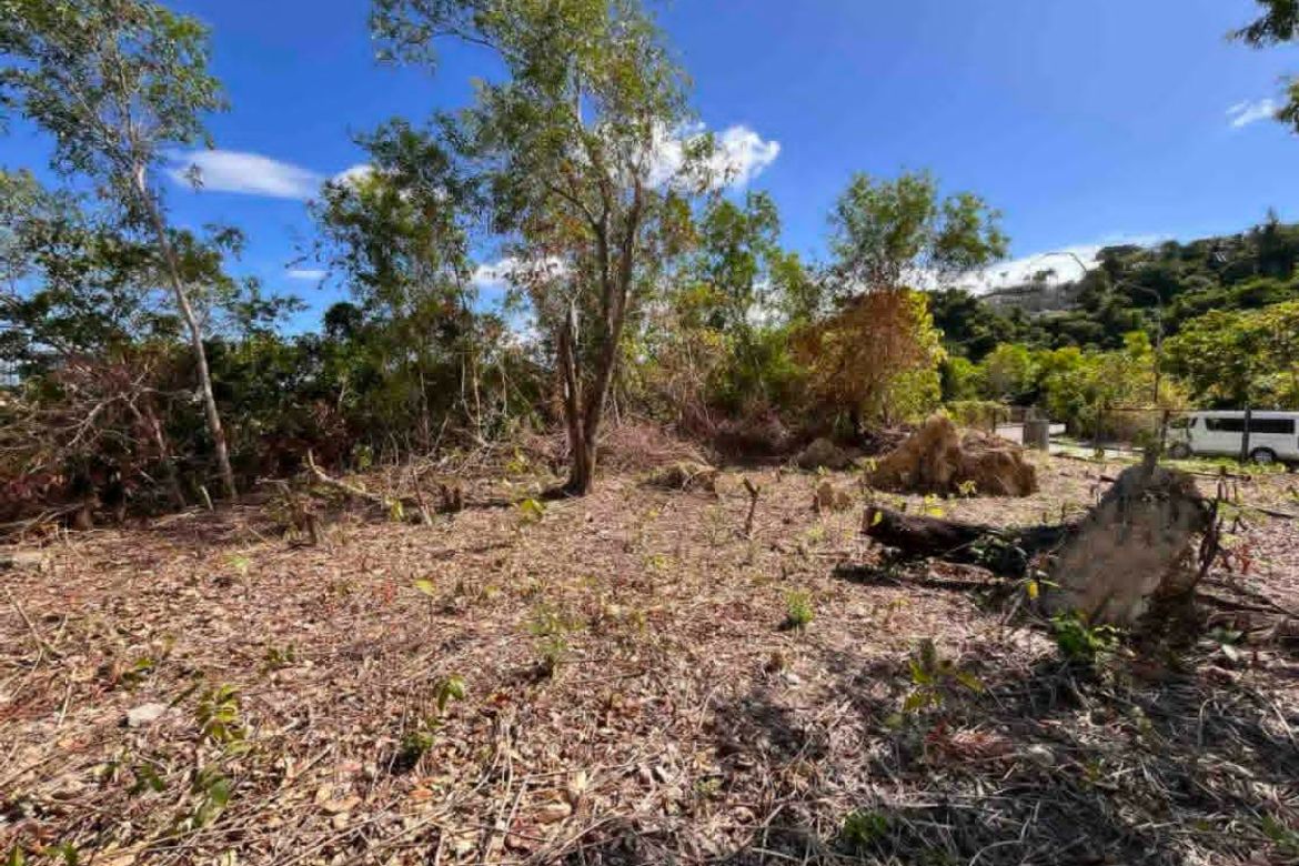 Land for Sale in Busay, Cebu City, Cebu – photo 7