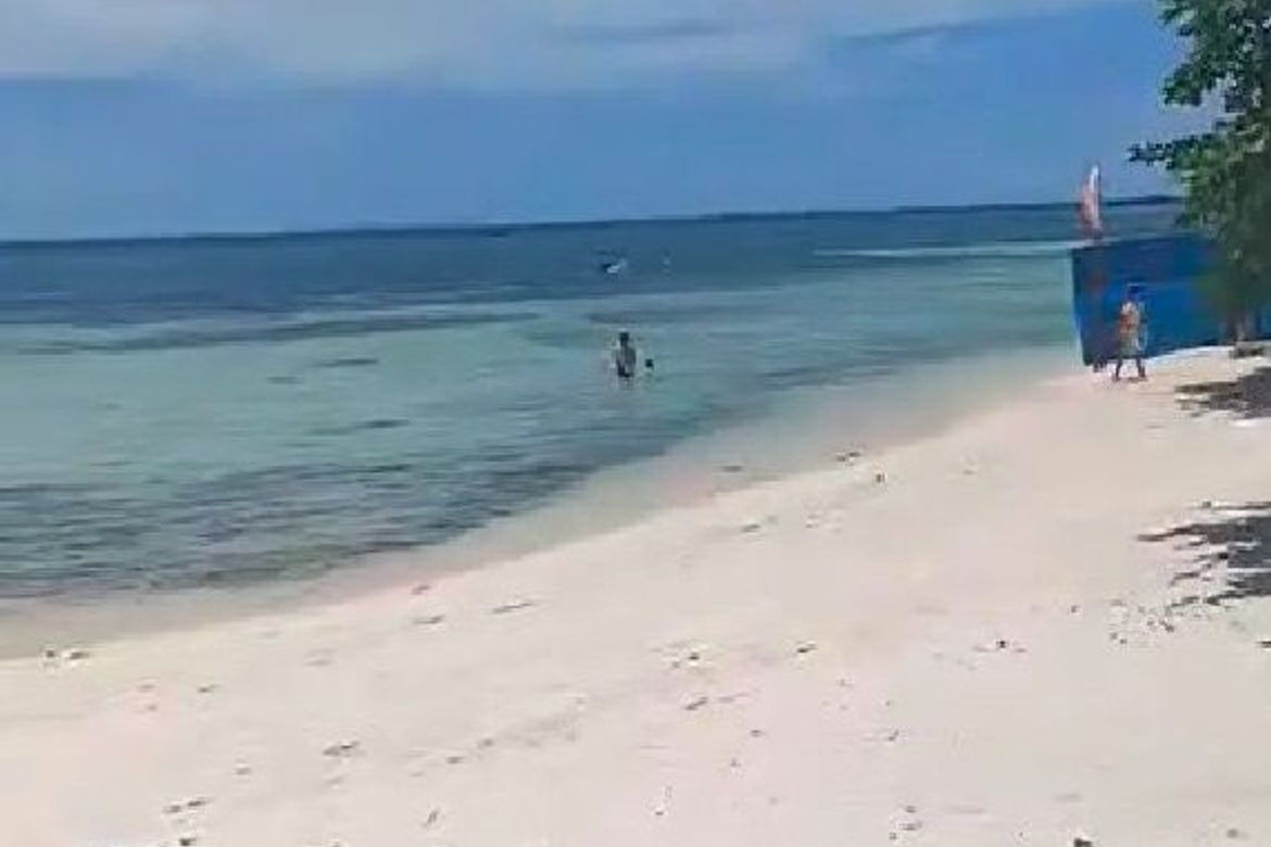 Land for Sale in Busogon, San Remigio, Cebu – photo 2