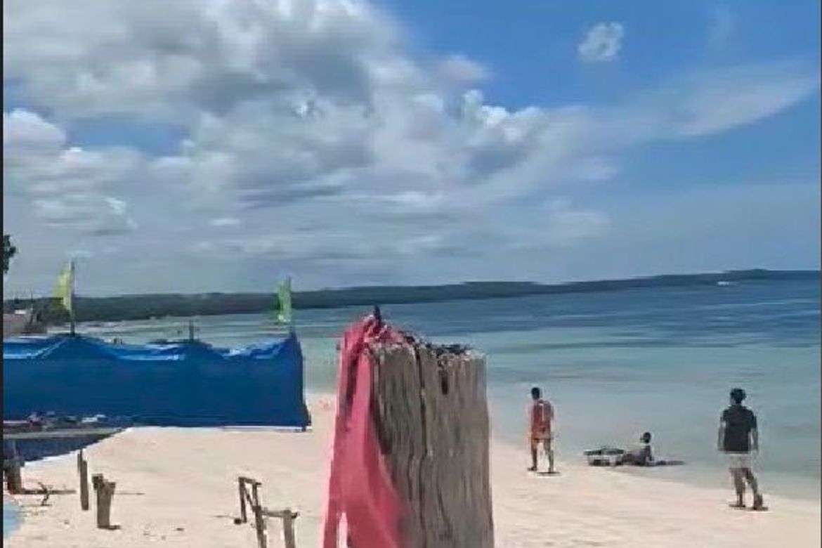 Land for Sale in Busogon, San Remigio, Cebu – photo 6