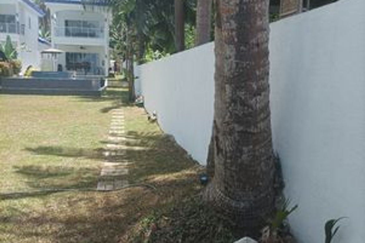 Land for Sale in Busogon, San Remigio, Cebu – photo 5