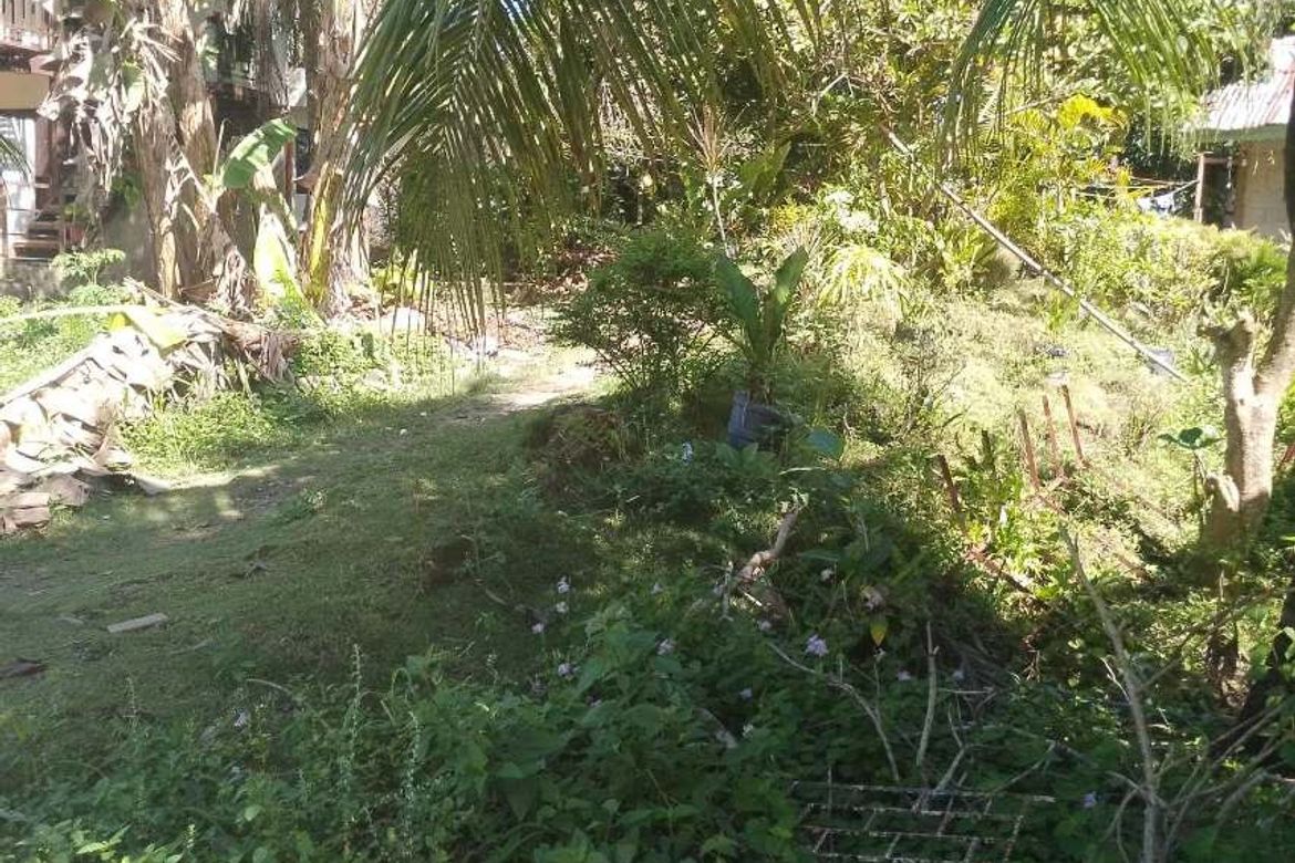 Land for Sale in Busogon, San Remigio, Cebu