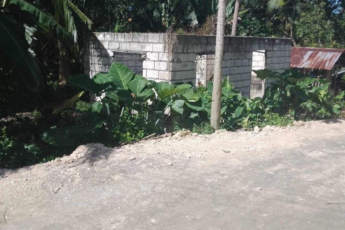 Land for Sale in Busogon, San Remigio, Cebu – photo 2
