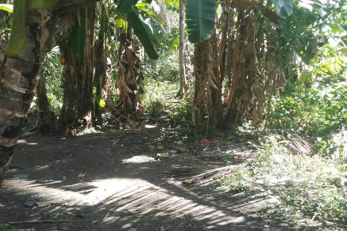 Land for Sale in Busogon, San Remigio, Cebu – photo 4