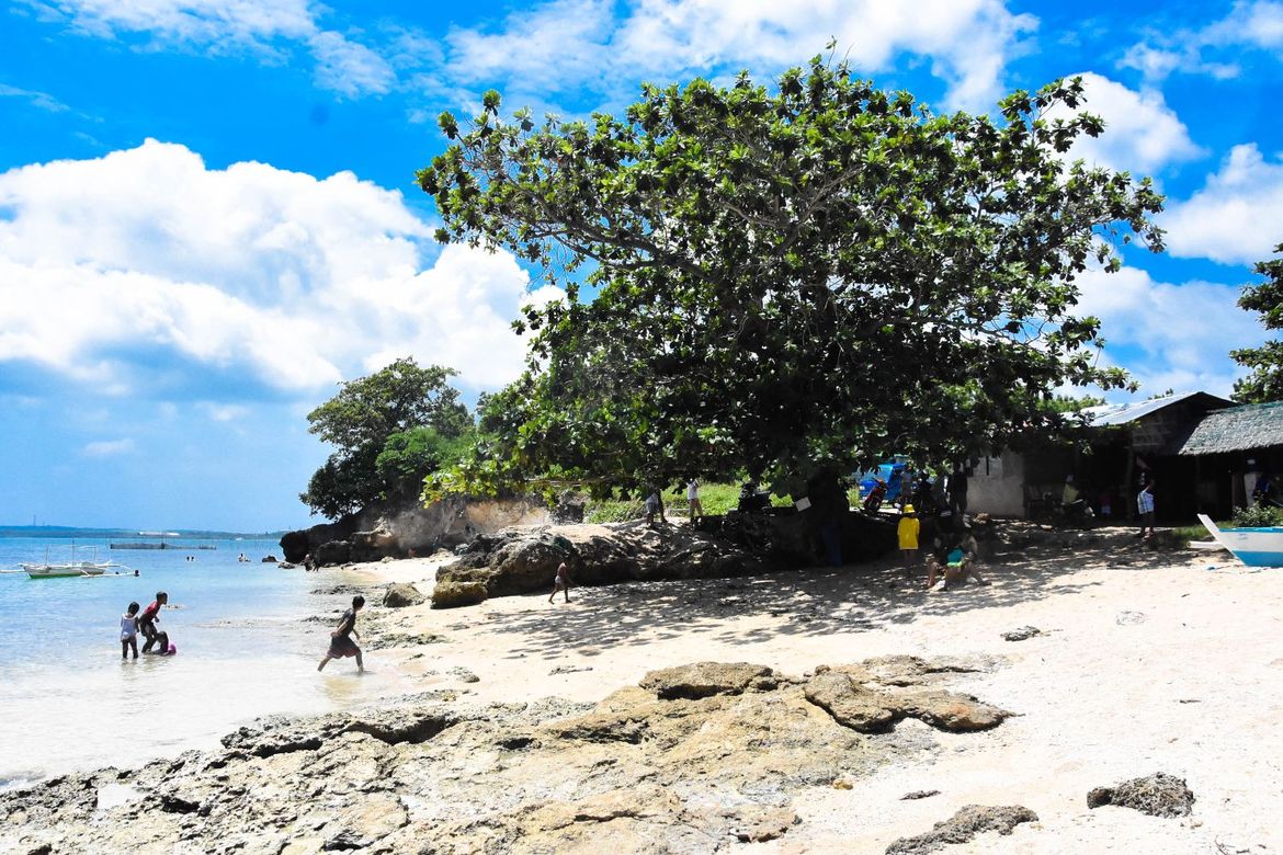 Land for Sale in Busogon, San Remigio, Cebu – photo 3