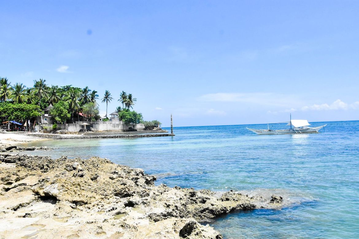 Land for Sale in Busogon, San Remigio, Cebu – photo 4
