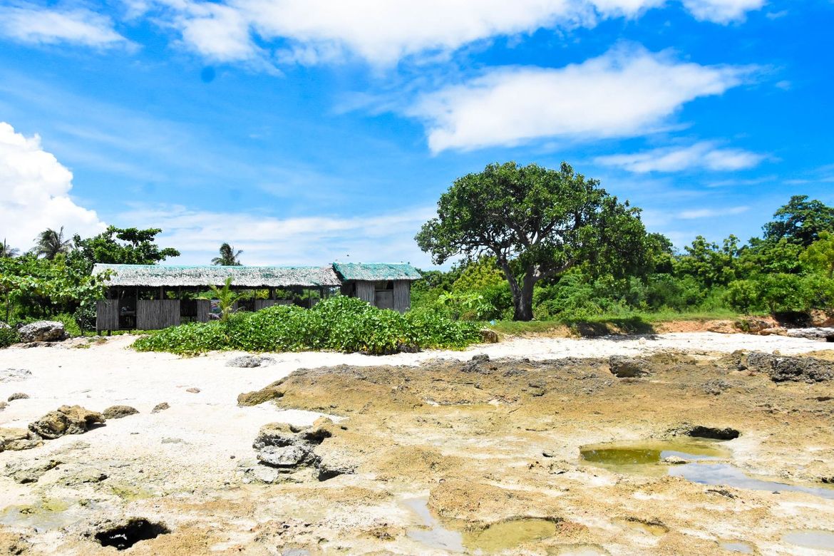Land for Sale in Busogon, San Remigio, Cebu – photo 6