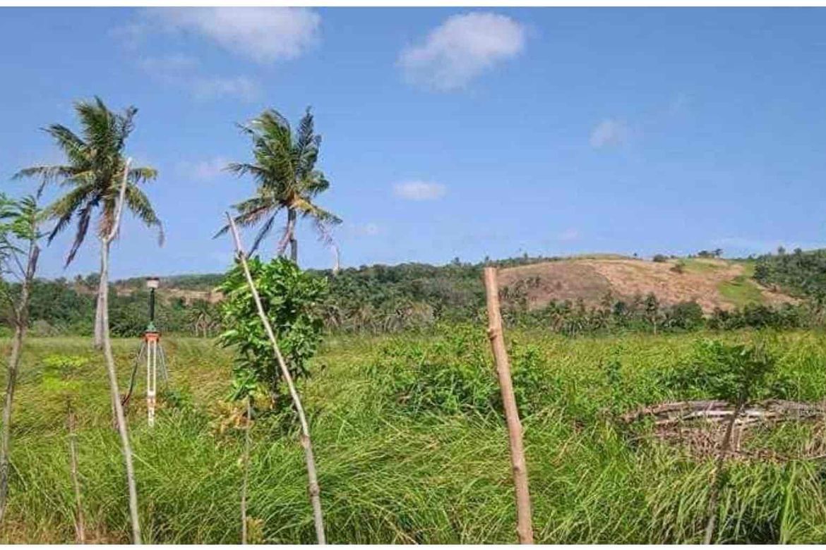 Land for Sale in Butawanan, Siruma, Camarines Sur – photo 6