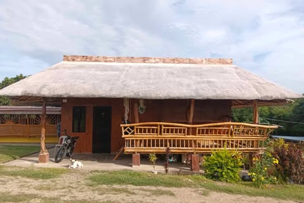 Land for Sale in Butong, Ronda, Cebu – photo 2