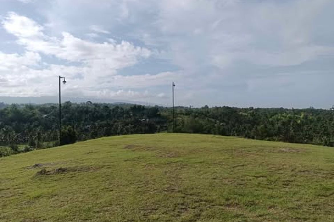 Land for Sale in Butong, Ronda, Cebu – photo 3