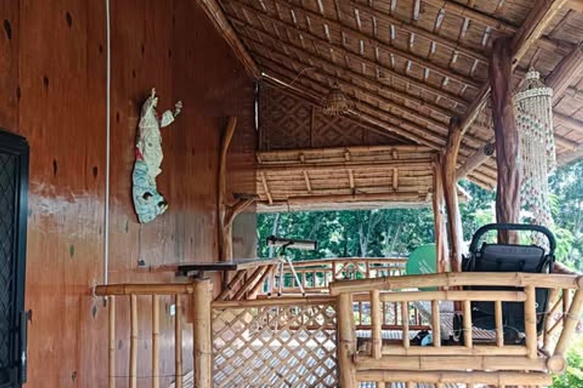 Land for Sale in Butong, Ronda, Cebu – photo 5