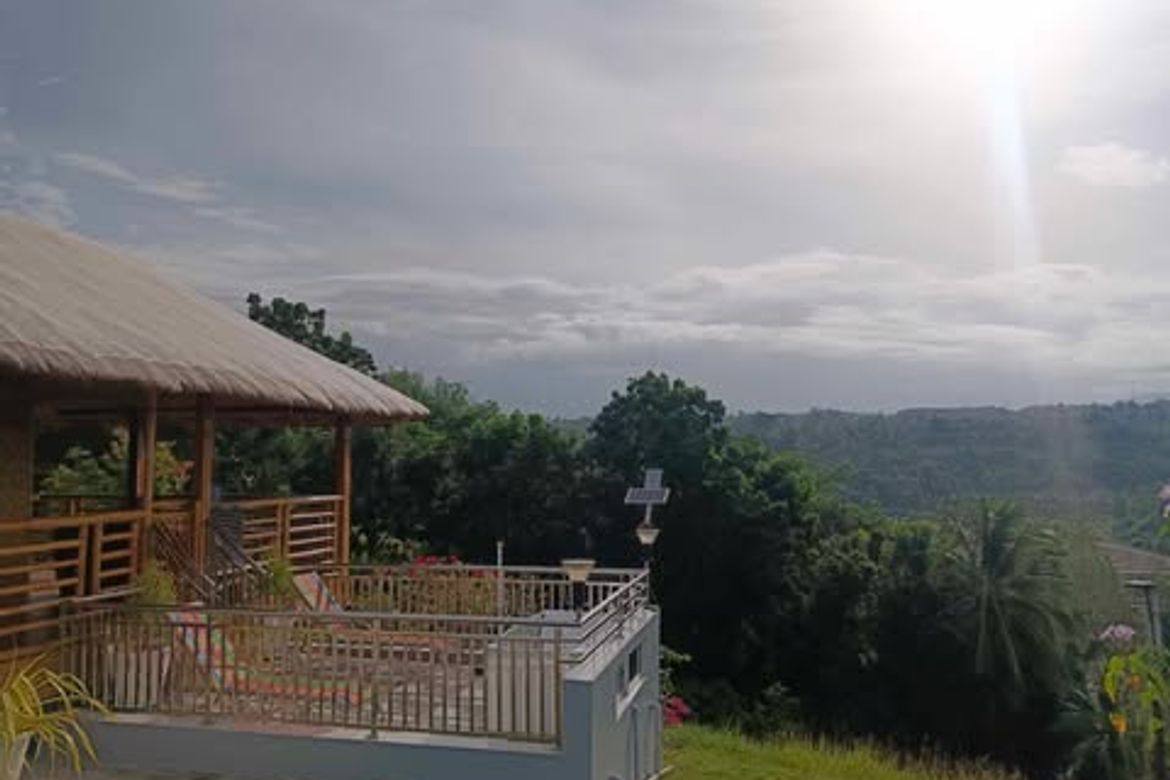 Land for Sale in Butong, Ronda, Cebu – photo 6