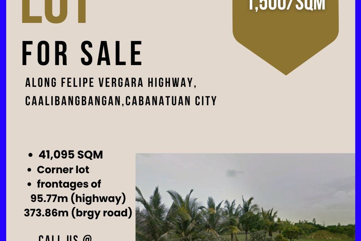 Land for Sale in Caalibangbangan, Cabanatuan, Nueva Ecija