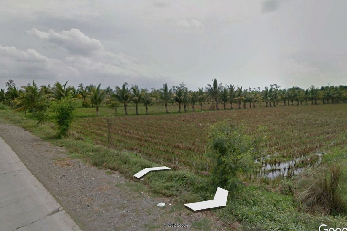 Land for Sale in Caalibangbangan, Cabanatuan, Nueva Ecija – photo 7