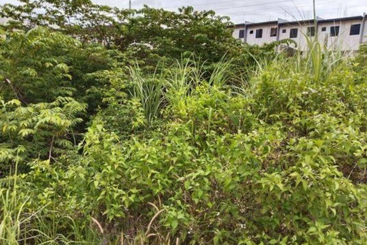 Land for Sale in Cabadiangan, Compostela, Cebu – photo 3