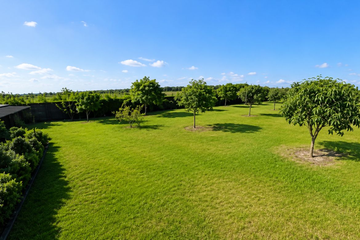 Land for Sale in Cabambangan, Bacolor, Pampanga – photo 3