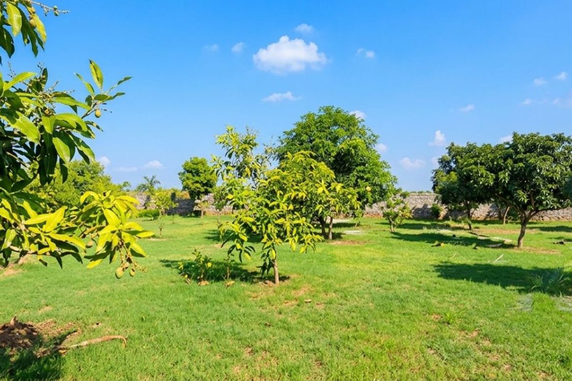 Land for Sale in Cabambangan, Bacolor, Pampanga – photo 5