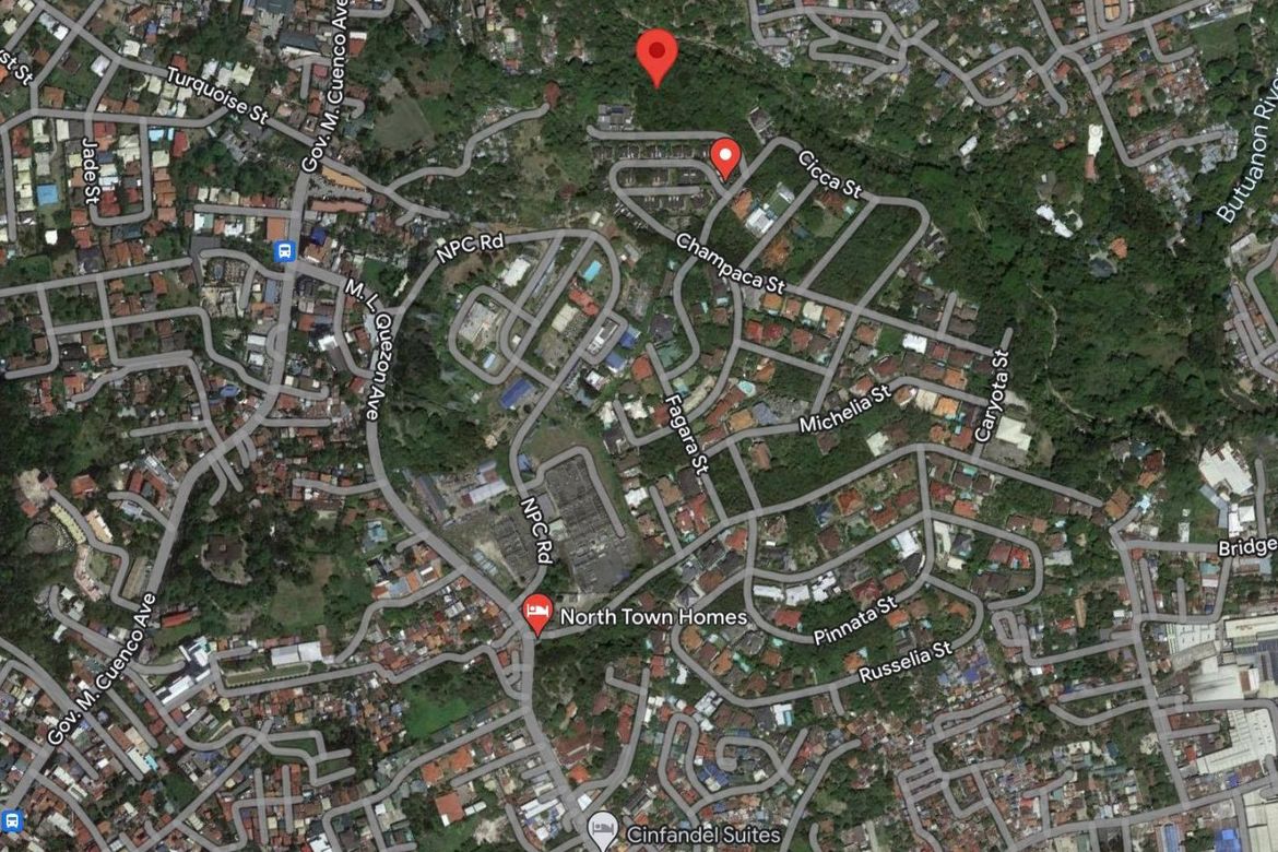 Land for Sale in Cabancalan, Mandaue, Cebu – photo 3