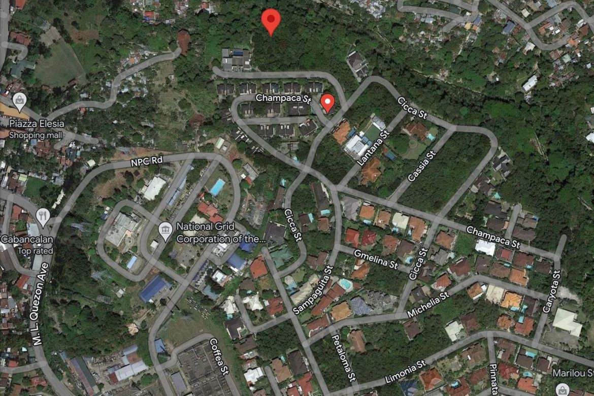 Land for Sale in Cabancalan, Mandaue, Cebu – photo 4